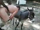 Doggy animal porn