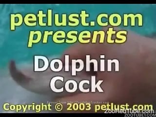 Dolphin cock in my hand