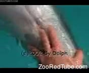 176px x 144px - Armed with cam diver films how he stimulates a dolphin pussy