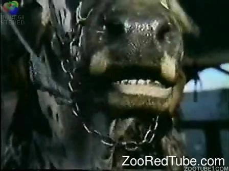 Zoosex Exotic Animal Fuck Lady New Video