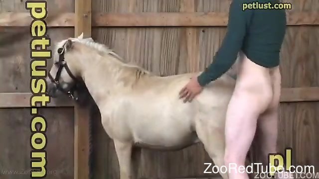 Pony man fuck Man fucks