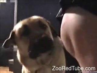 Fat mommy with big boobs sucks on a dog's dick
