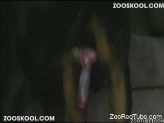 Violent doggy style sex with a wonderful housewife