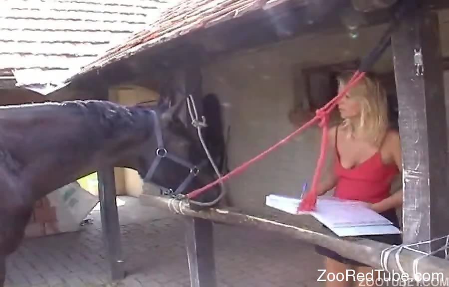 Tanned blonde in red gets destroyed by a horse cock