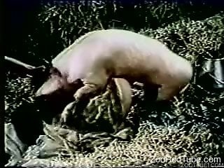 Compilation of retro bestiality that you won't find elsewhere