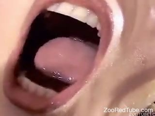 True dog cum connoisseur swallowing another load