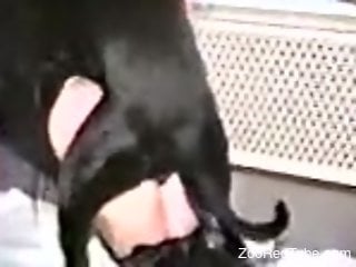 Beauty dressed in black gets fucked by a horny dog