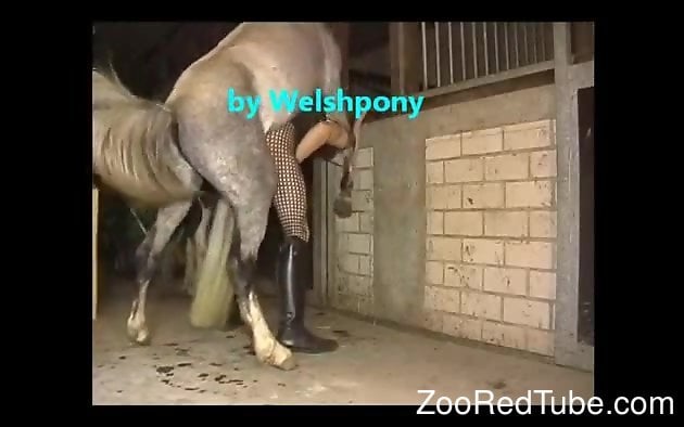 Welsh dude getting fucked by a well-endowed horse