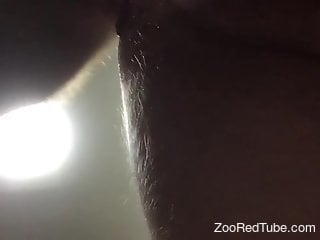 Close-up anal video featuring a hot guy and his dog