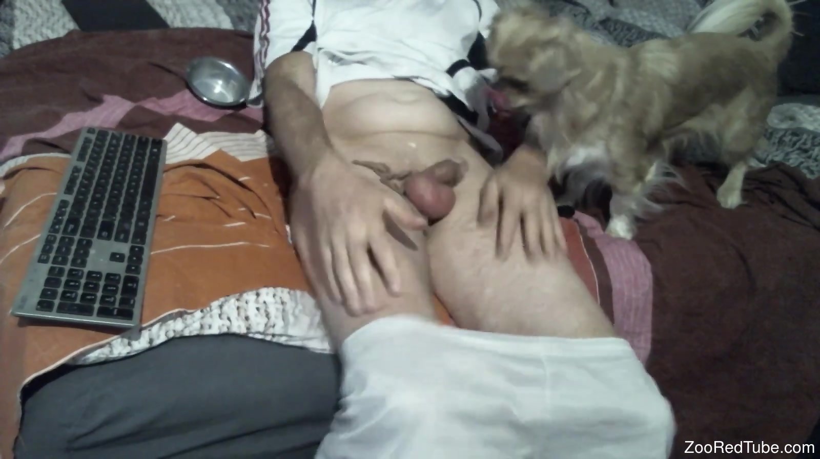 Hairy guy with a hot cock enjoying a blowjob sesh