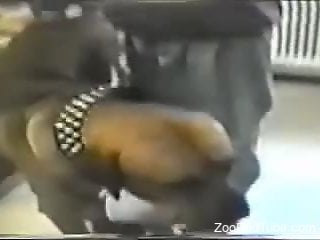 Vintage video featuring lots of terrific zoo loving