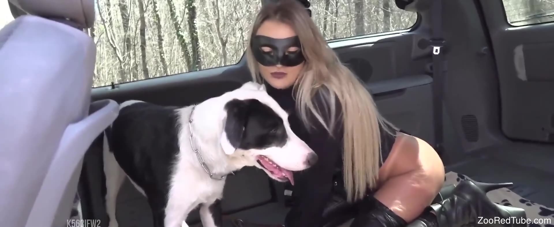 Dog Ladki Ka Bf - Fine woman with sexy ass, doggy porn with a real dog in the car