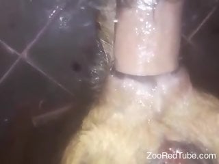 Guy's breathtaking cock widening that hot hole