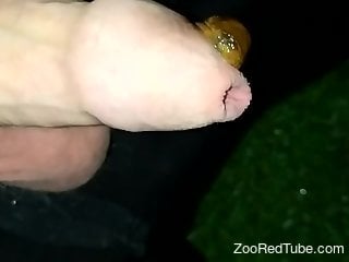 Snail porn movie with a sexy creature that wants cock