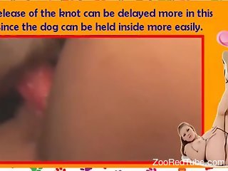 Best dogs showing how they fuck in an educational video