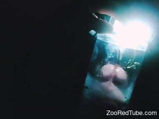 Man inserts cock into a jar full of ants