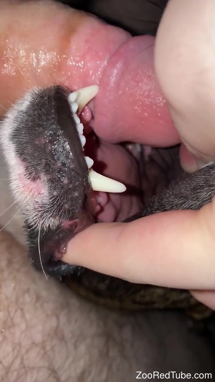 Dog pleases nude female by licking her pussy very sloppy