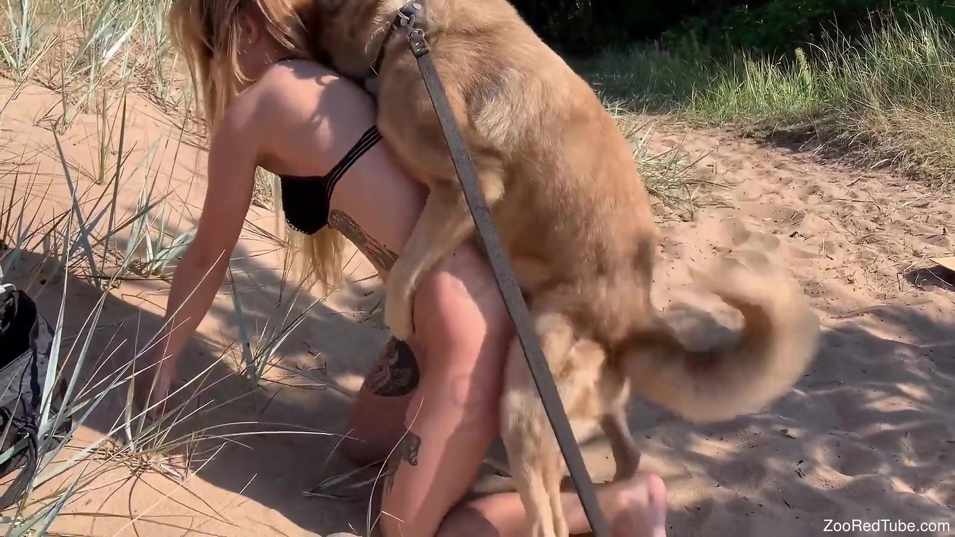 Nude female enjoys outdoor sex by the beach with her dog 
