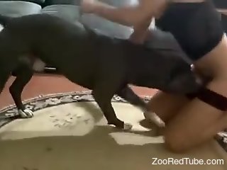 Wild whore with a hot pussy fucked by dog and BF