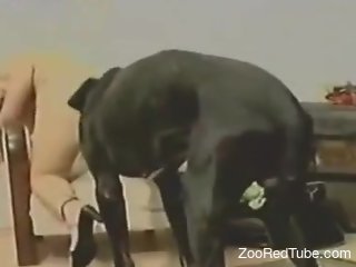 Dog makes blonde woman wanna suck the dick after soft licking