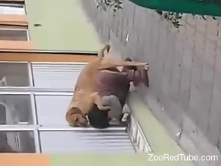 Aroused woman fucked in a public place by her own dog