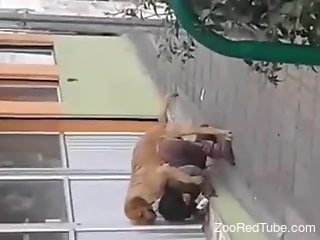 Aroused woman fucked in a public place by her own dog