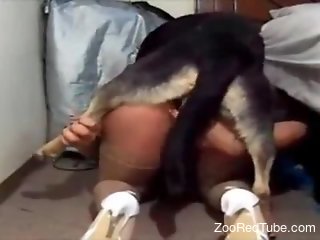 Energized mature with huge ass gets dog fucked on cam