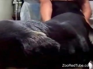 Energized mature with huge ass gets dog fucked on cam