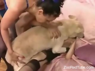 Wife and her best friend make out with the dog in sexual kinks
