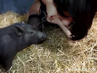 Brunette with perky tits gets aroused in the presence of pigs