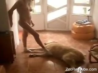 Fine blonde with amazing lines gets intimate with the dog