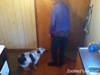 Amateur old man cam fucks the dog in sexy homemade perversions