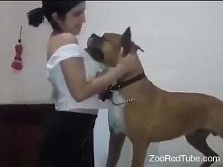 Slender woman lets the dog fool around with her pussy while on cam