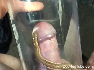 Solo man feels a snake on his cock during a naughty cam play