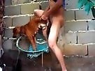 bestiality porn home video